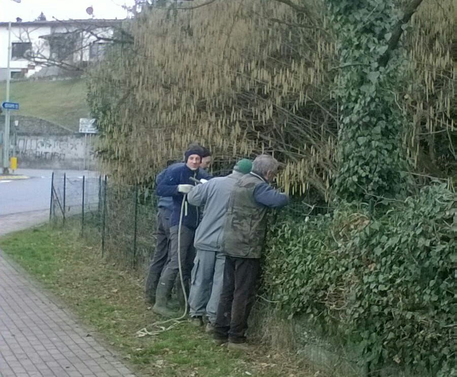 d69a98e4-1ae5-4f25-bbc5-3f9686b0abd1