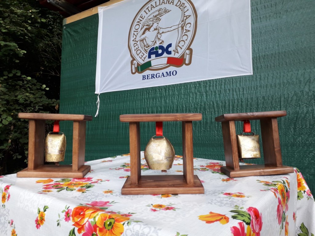 c1cbf365-185a-4238-aa9a-153186469e0a