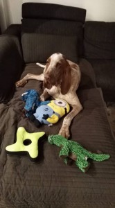 50000494 1965765990399681 1185243049064660992 n