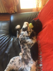 50027949 2901796563171176 3005501574098190336 n