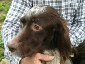 50183014 10216376040026238 163558268801646592 n