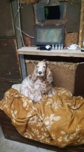 50196279 602820793473880 9045343297383432192 n