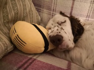 50196335 1925794237470329 8839426875697659904 n