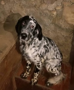 50231578 813167715702193 1434851262519574528 n