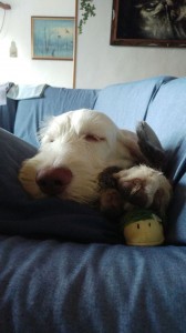 50234351 2106695486085718 9522414941634560 n