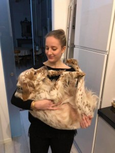 50236753 10213360371218866 1157722766942666752 n