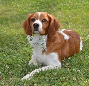 50250671 1063530183819957 335856684381503488 n