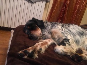 50250682 2901799913170841 355566624310296576 n