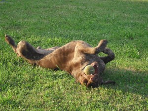 50254858 10213148682177226 3493534335665963008 n