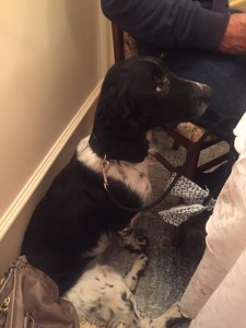 50267702 1965765973733016 1140531662124220416 n