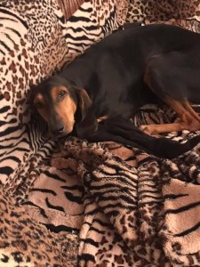 50269924 1965765903733023 613438616835719168 n