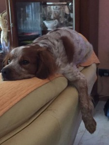 50269960 10213495127801264 8707635147089903616 n