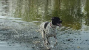 50272105 1965765853733028 5672501498399948800 n