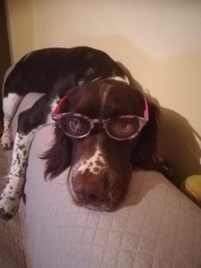 50272105 596730090768640 4846352122263896064 n