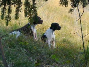 50275187 1965765860399694 8516962285892141056 n