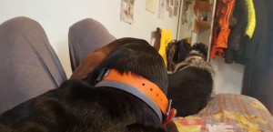 50281025 2432440573464182 4052150211819077632 n