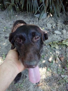 50282403 2269877813281181 7387120556849496064 n