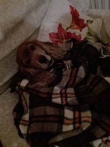 50285469 2265818586973543 4113600061269606400 n