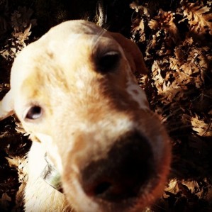 50288862 10212330255723148 4638042128188964864 n