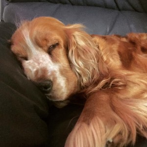 50295307 2025159790908246 7660997208132550656 n