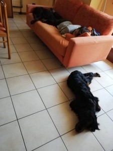 50314579 2298853273481986 6752594591188254720 n