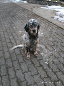 50314598 2168450493217720 8018574143425347584 n