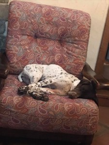 50321296 2285109468168532 7825245867157225472 n