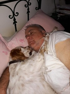 50322090 310305812927393 264335420089696256 n