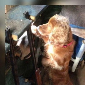 50323481 2026738434047675 9213755579309228032 n