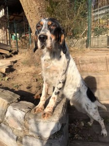 50337229 1262850837201689 6335831194080378880 n