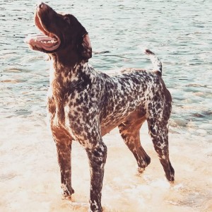 50399562 1023247584528004 1723312140976128000 n