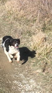 50404443 10215604642700937 3798703994113622016 n