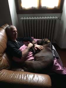 50416188 2285068668172612 5287725789352034304 n