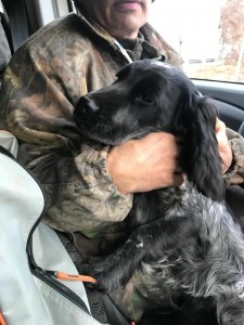 50418413 861455004202744 7114912161058521088 n