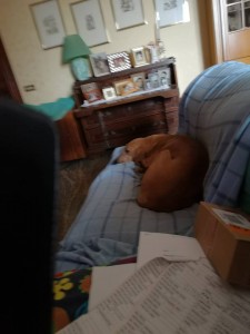 50464604 1187559351369414 2273465497037045760 n