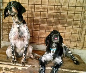 FB IMG 1548165481768