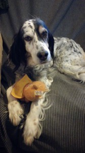 IMG-20180508-WA0014 resized 20190124 013010665