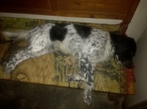 IMG 20180124 141813 resized 20190124 013012886