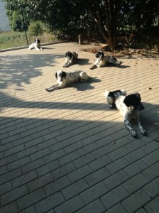 IMG 20180920 095214 resized 20190124 013011980