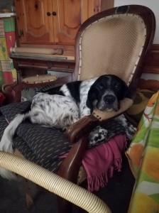 IMG 20181005 134855 resized 20190124 013013550